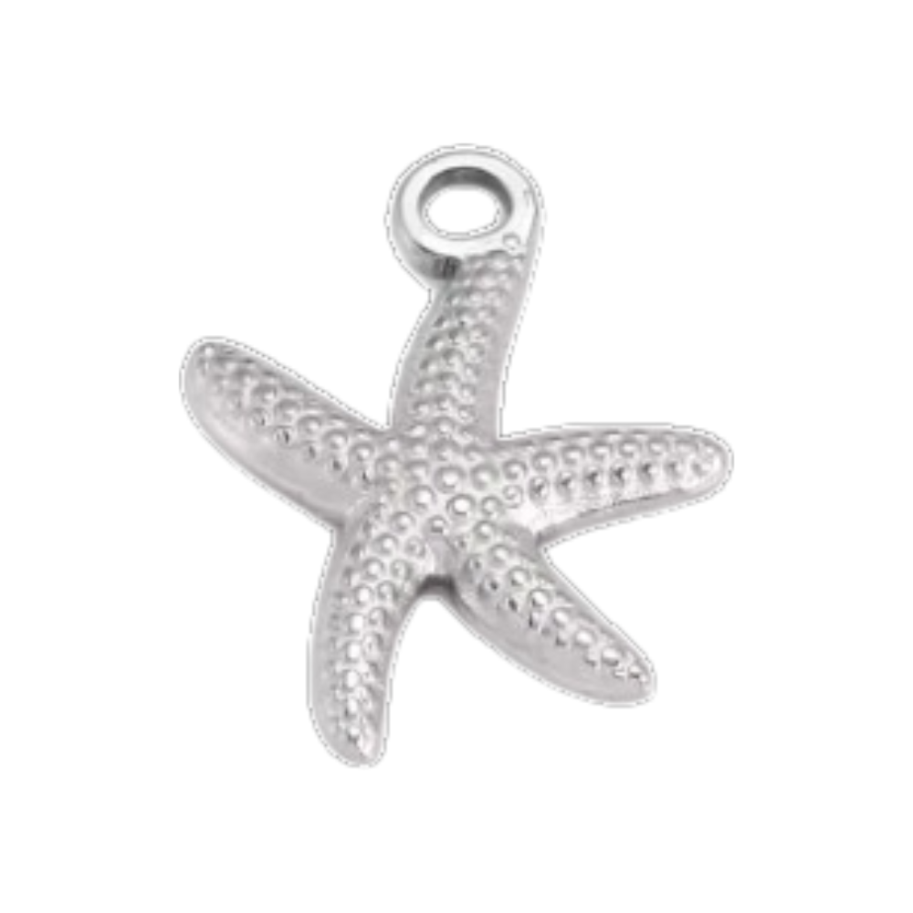 Charm estrella de mar - plata