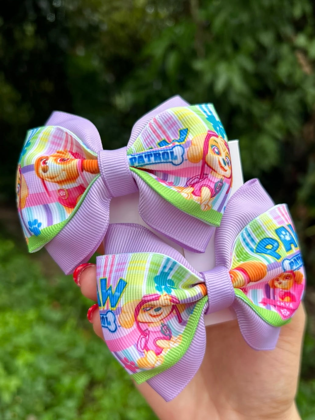 Lazo Skye - par - Paw Patrol