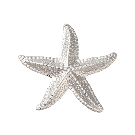 Charm estrella de mar - plata